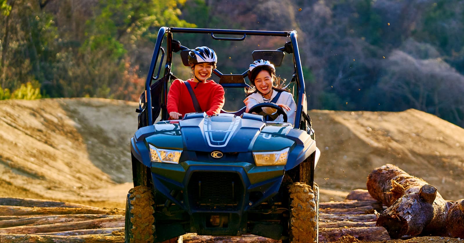 ライジング・バギー イメージ 3