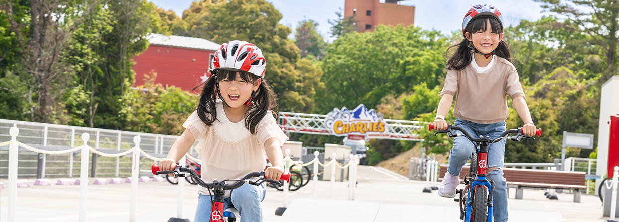 チャーリーズ･マウンテン パンプトラック･フィールド イメージ