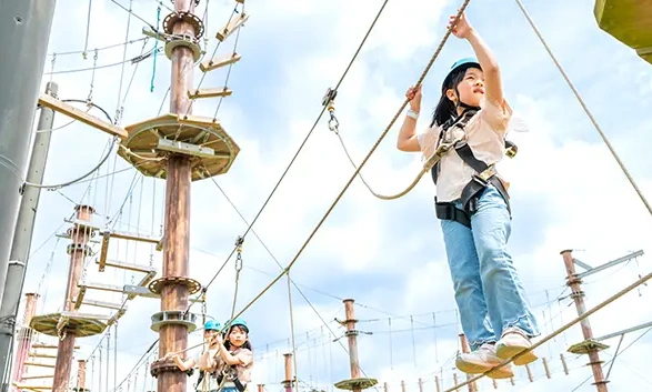 スカイジャングル スリルコース イメージ