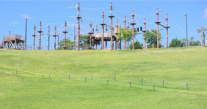 お食事（ランチ弁当） イメージ 2