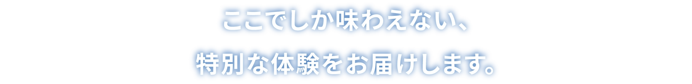 ここでしか味わえない、特別な体験をお届けします。
