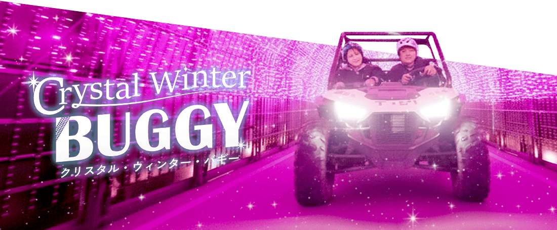 クリスタル・ウィンター・バギー