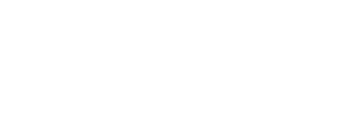 RISING BUGGY Level S