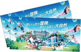 fv_link_img_4