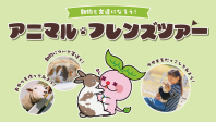 アニマル・フレンズにてイベント開催!