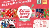 ネスタがいちご色に染まる!Strawberry hunt2026