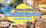【8/8〜8/15限定!】夏の特別宿泊プラン☀️