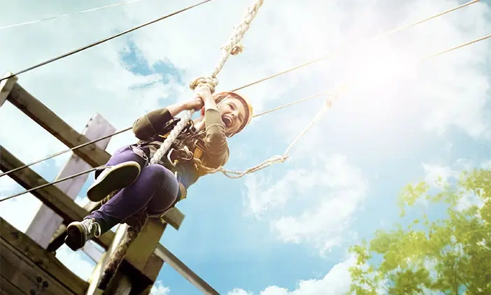 スカイジャングル イメージ